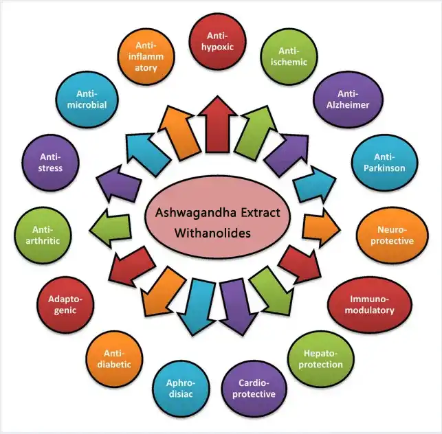 Ashwagandha Extract.jpg